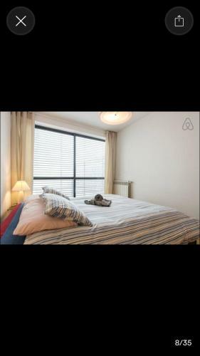 Expo Apartment