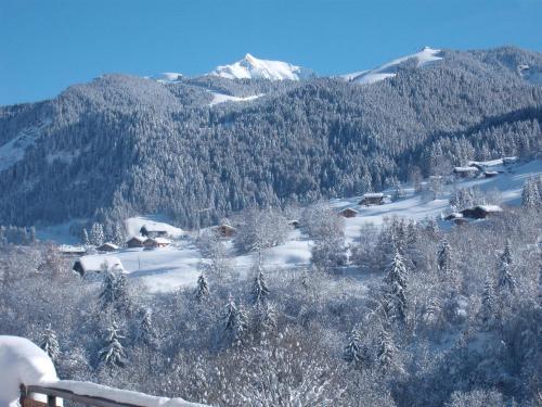 Hotel H�tel Le Panoramic