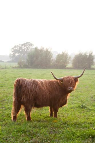Agroturismo Eckington Manor