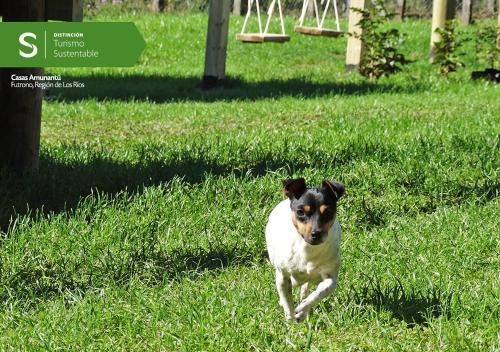 Agroturismo Casas Amunatu