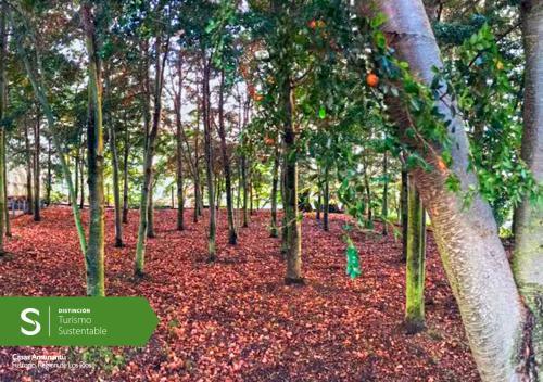 Agroturismo Casas Amunatu