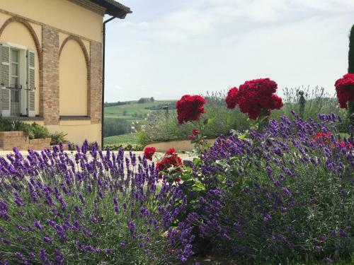 Hotel Naturalmente Wine Resort