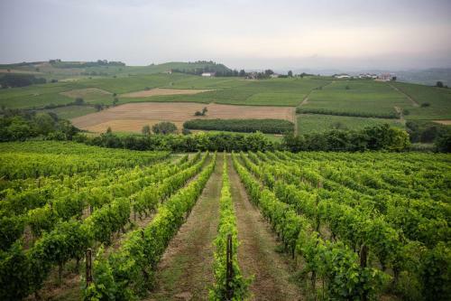 Hotel Naturalmente Wine Resort