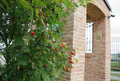 Hotel Naturalmente Wine Resort