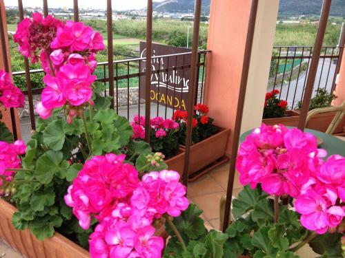 Agroturismo Giu Al Mulino B&B