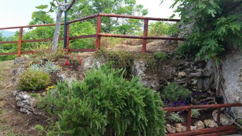 Agroturismo Giu Al Mulino B&B