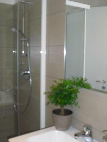 Hostal Residence Irene