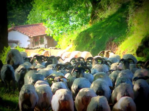 Agroturismo Urruska