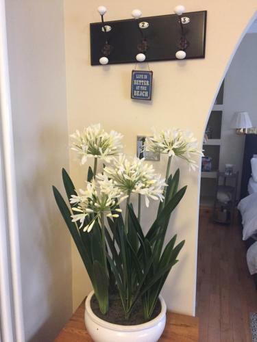 Hostal Sallyport Guest House