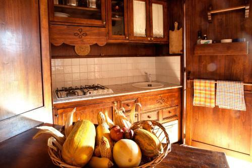 Agroturismo Agriturismo Residenza Il Girasole