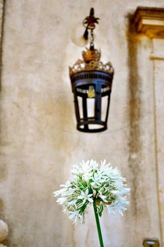 Hostal Castello Camemi