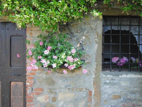 Holiday Home Il Lamone Ambra
