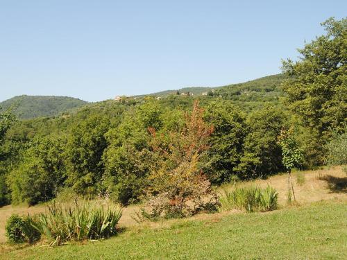 Holiday Home Il Lamone Ambra