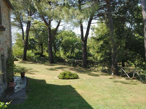 Holiday Home Il Lamone Ambra