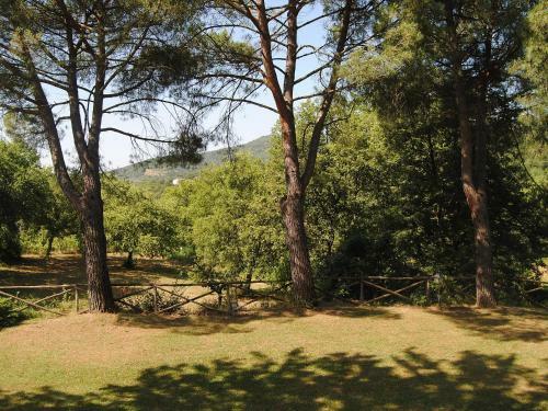 Holiday Home Il Lamone Ambra