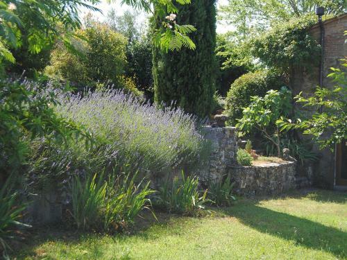Holiday Home Il Lamone Ambra