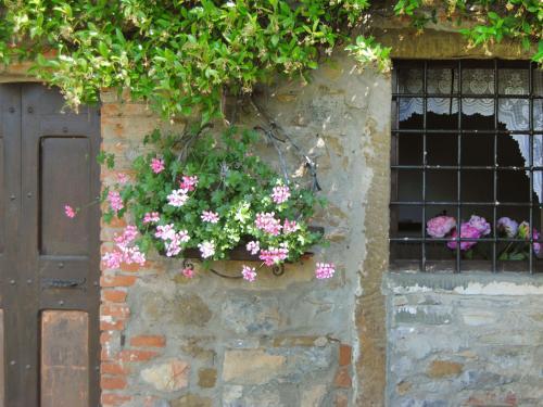 Holiday Home Il Lamone Ambra