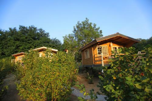 Agroturismo Ecolodge Langhe