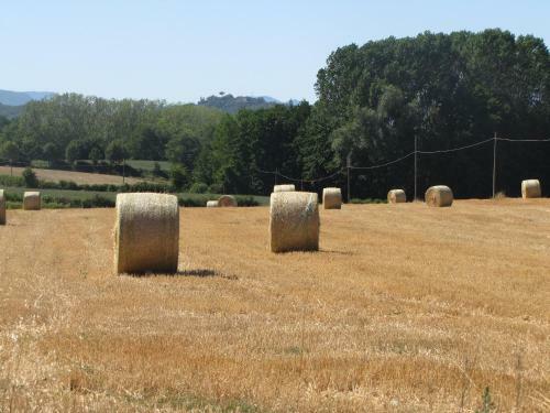 Agroturismo Sommavilla B&B
