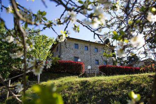 Agroturismo Sommavilla B&B
