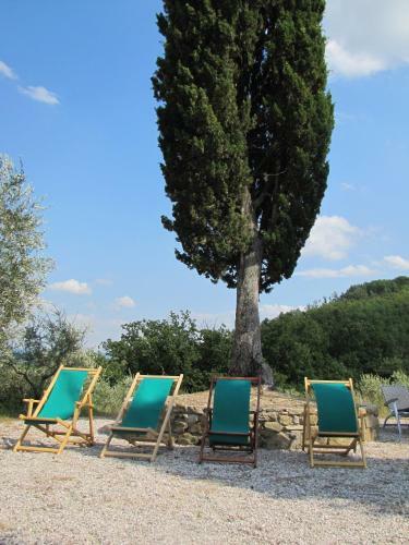 Agroturismo Sommavilla B&B