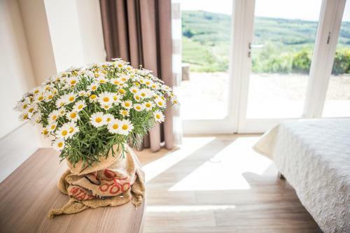 Hostal Agriturismo Casa Zen