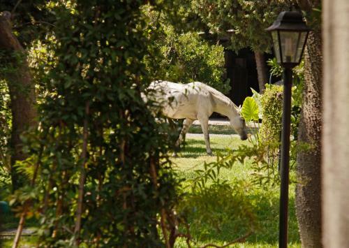 Hostal B&B La Villa