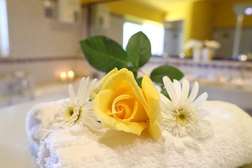 Hostal B&B La Villa