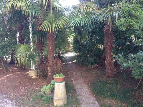 Hostal Villa Rosi