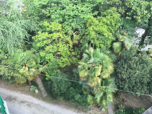 Hostal Villa Rosi