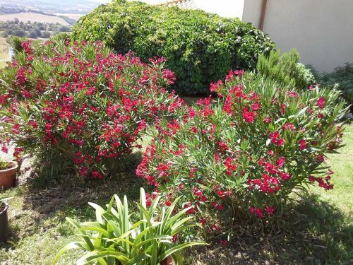 Agroturismo Poggio Mario