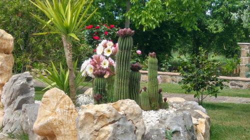 Agroturismo Borgo Patierno