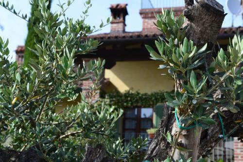 Agroturismo Heremo Delle Ripe