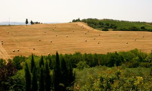 Apartamento Podere Gattabigia