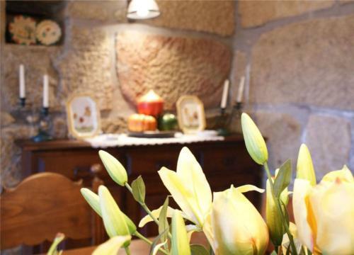 Agroturismo Quinta De Canh�es