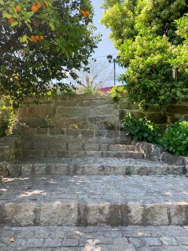 Agroturismo Quinta De Canh�es