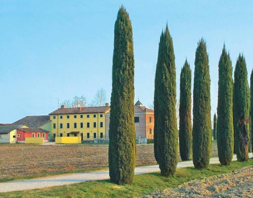 Hostal Bb Mambrotta