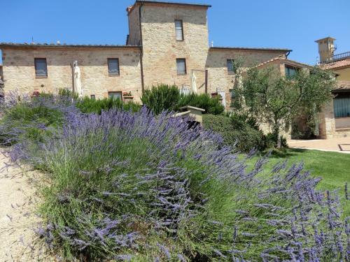 Agroturismo La Pieve Di San Martino