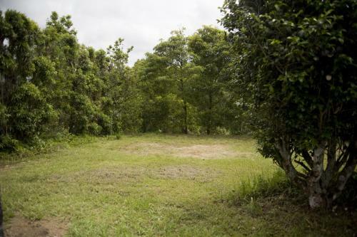 Agroturismo Pico Do Ref�gio - Casas De Campo
