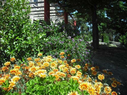 Agroturismo Quinta Da Alma Cheia