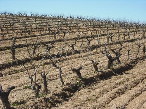 Agroturismo Quinta Da Alma Cheia