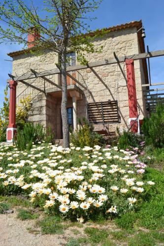 Agroturismo Quinta Da Alma Cheia