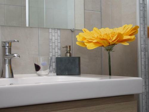 Hostal Des Toits En Ville