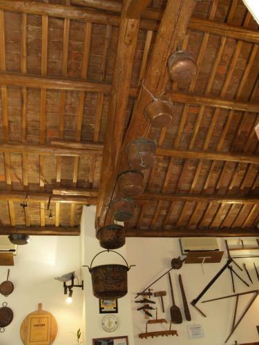 Hostal Agriturismo Le Clementine