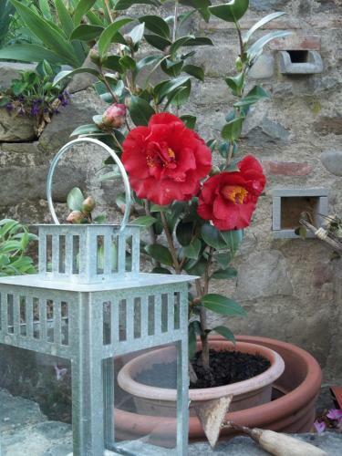 Agroturismo Il Campano