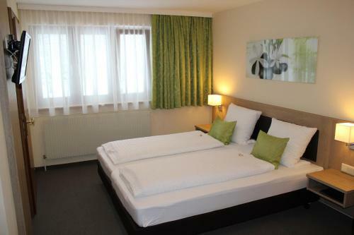 Hostal Gasthof Alfenz