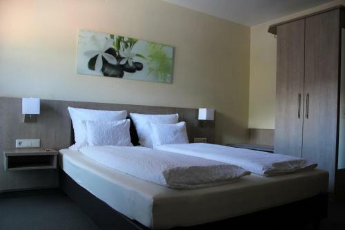 Hostal Gasthof Alfenz
