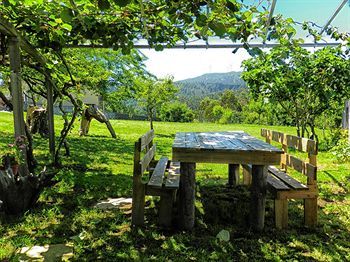 Agroturismo A Casa Do Folgo Turismo Rural