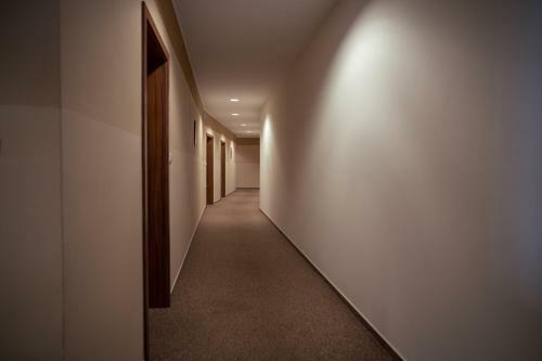 Hostal Penzion U Bl�h?