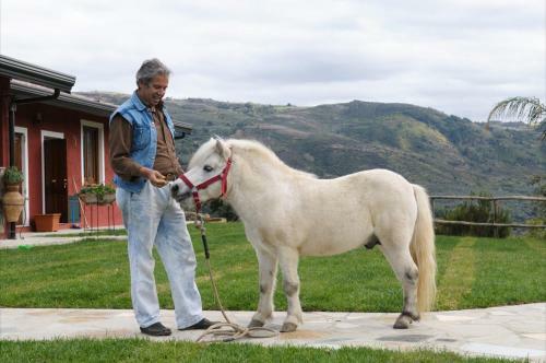 Agroturismo Barone Montefeo